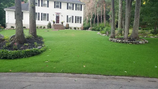 Pelletier Landscaping - Patio/Irrigation/NewLawns work photo