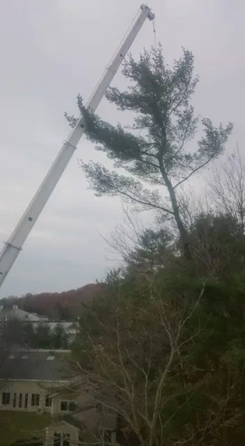 Crane Job.jpg