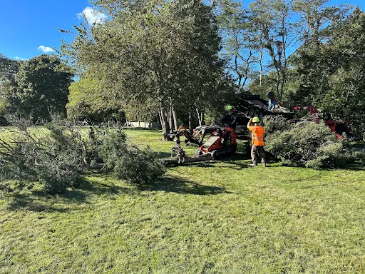 Review photo by Kent Fitzpatrick