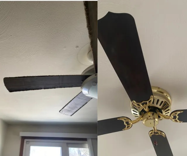 Peaceful cleanings cleaned before and after ceiling fans with different designs, wooden blades.