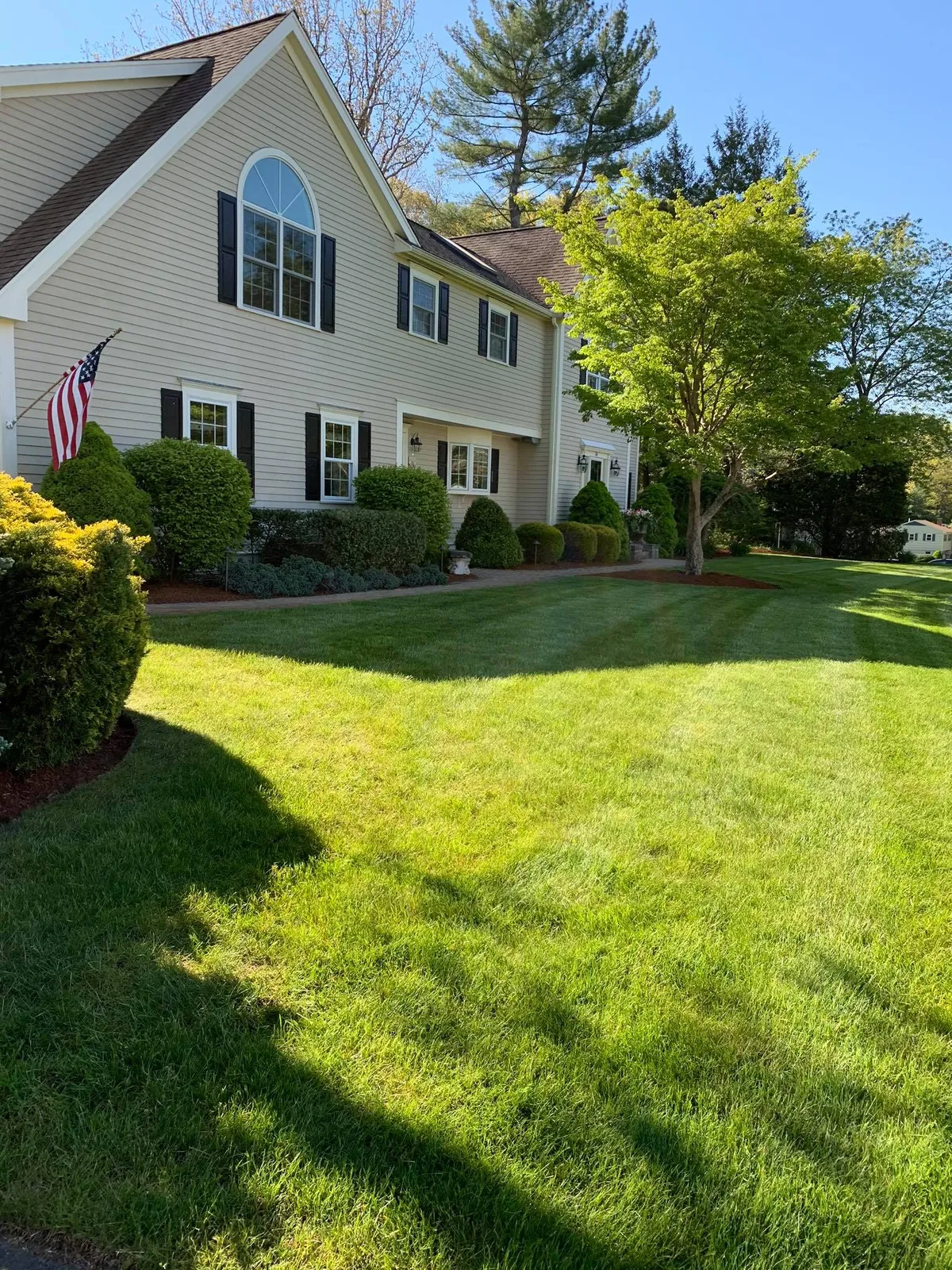 Lawn care