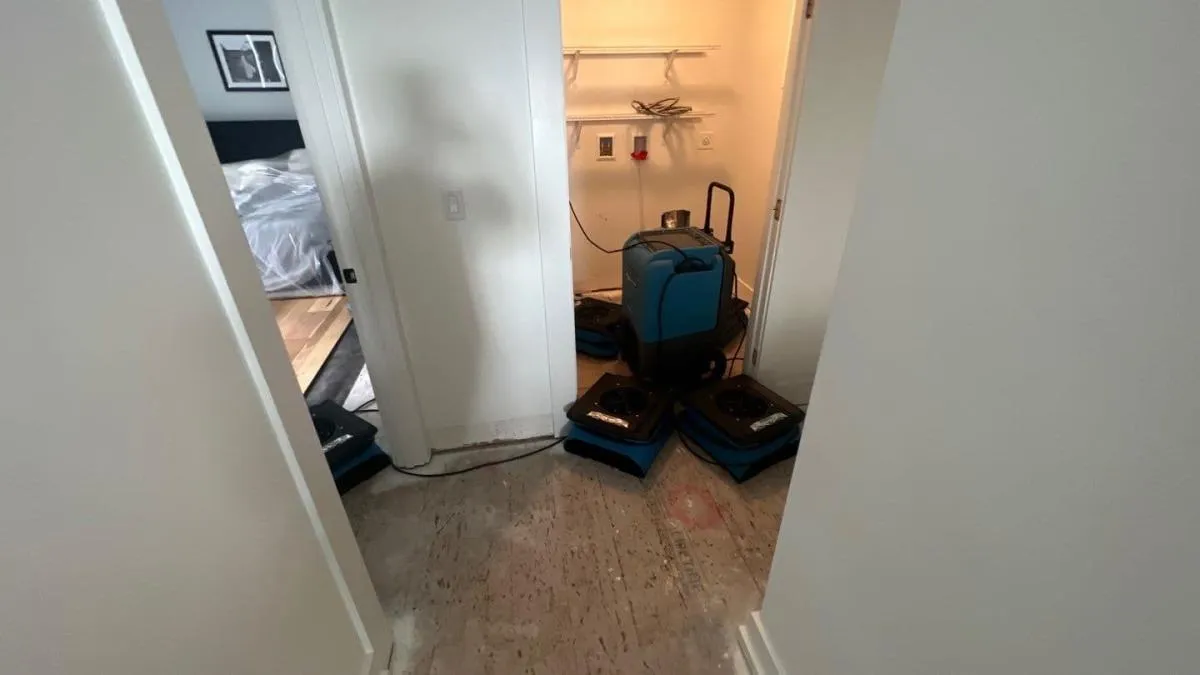 Dehumidifier and compact air movers positioned in a hallway and closet area