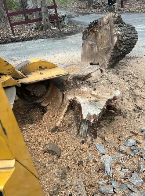 J. Bonin Tree Services, LLC verified work photo