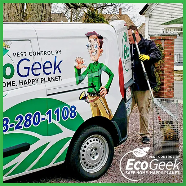 EcoGeek Pest Control researched project photo