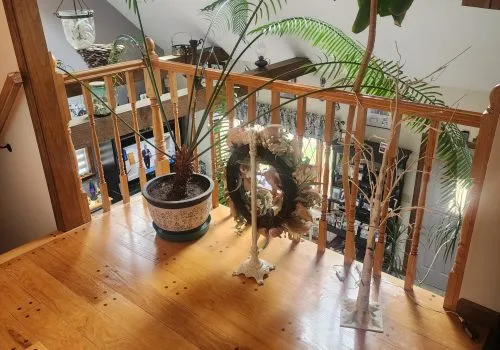 A Cleaned Residential Landing