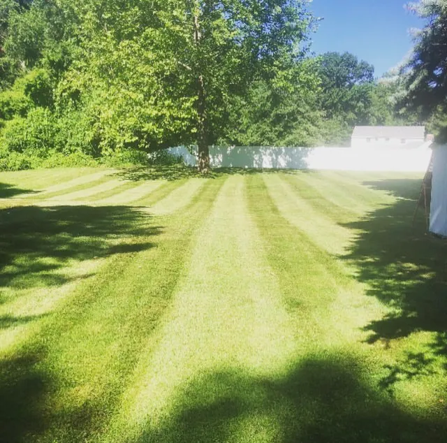 Currivan Green Company, INC Landscape Contractors