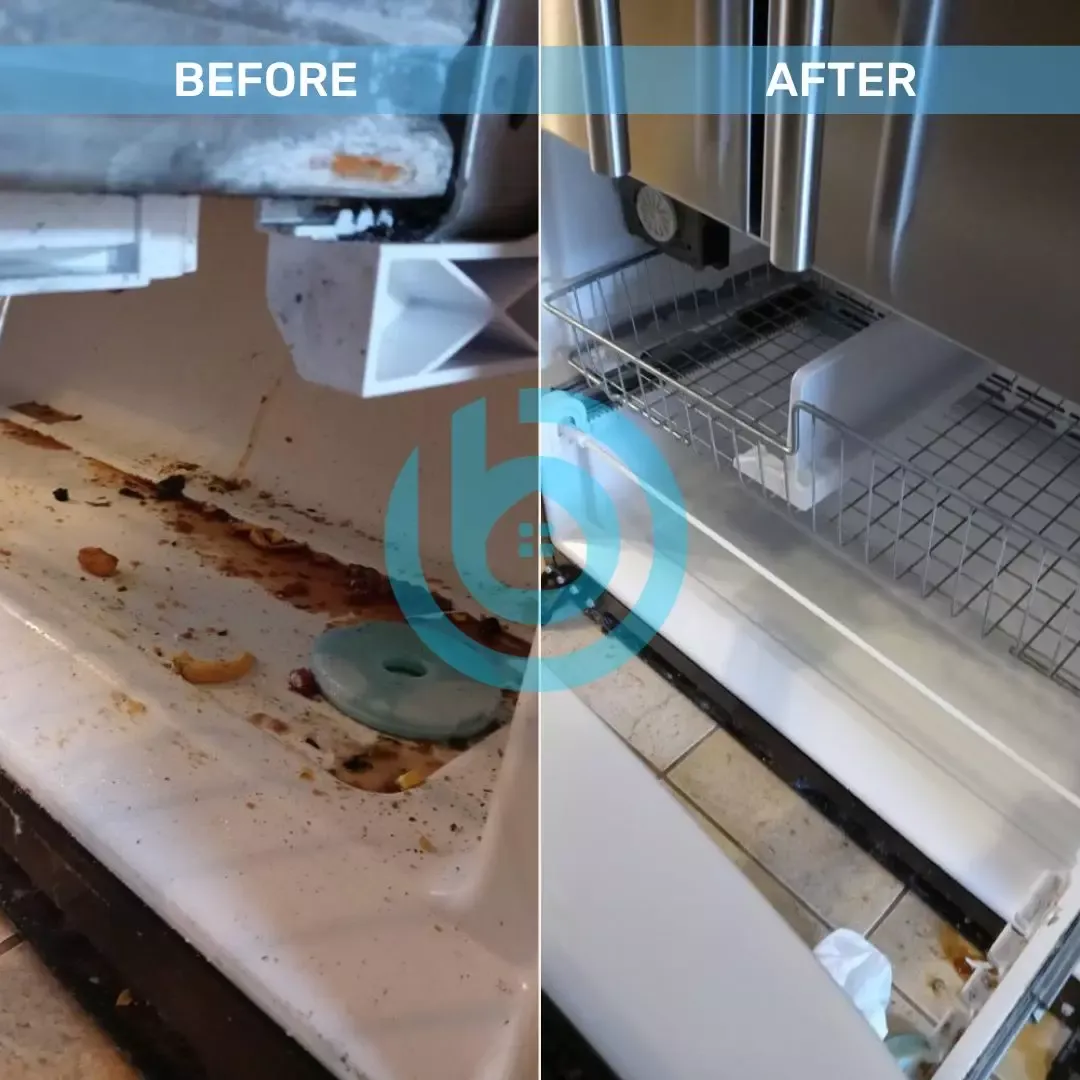 professional cleaning service in peabody (4)