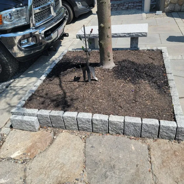 ELIAS DUBON LANDSCAPING researched project photo
