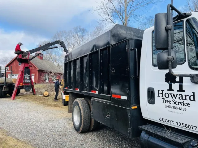 Howard Tree Service work photo
