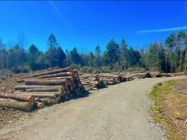 work photo from trailandearthllc.com