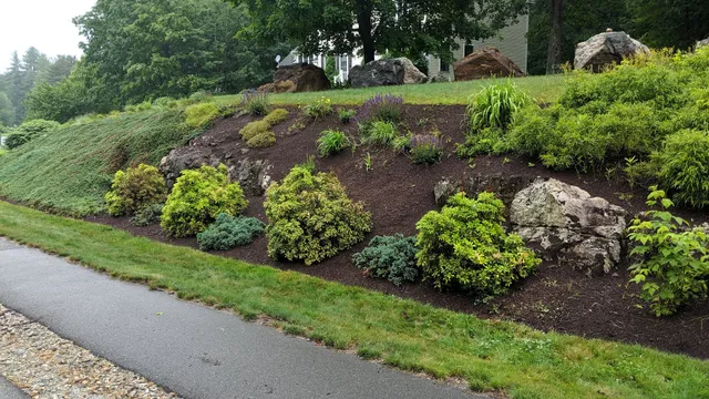 P&L Landscaping work photo