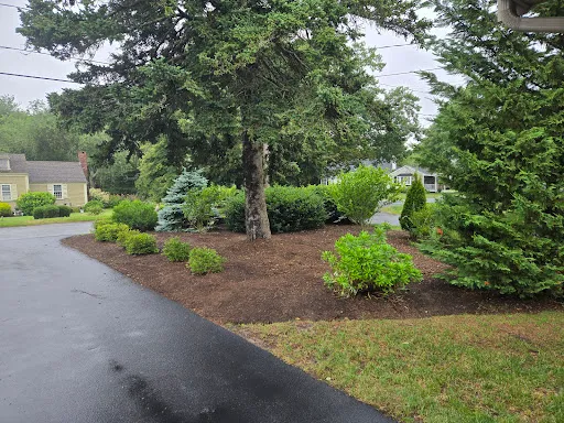 Lavelle Tree Service work photo