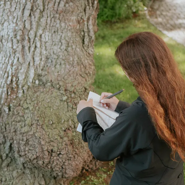 arboreal-solutions-tree-assessment-08