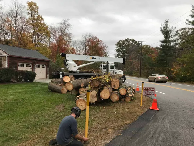 work photo from northsmithfieldtreeservice.com
