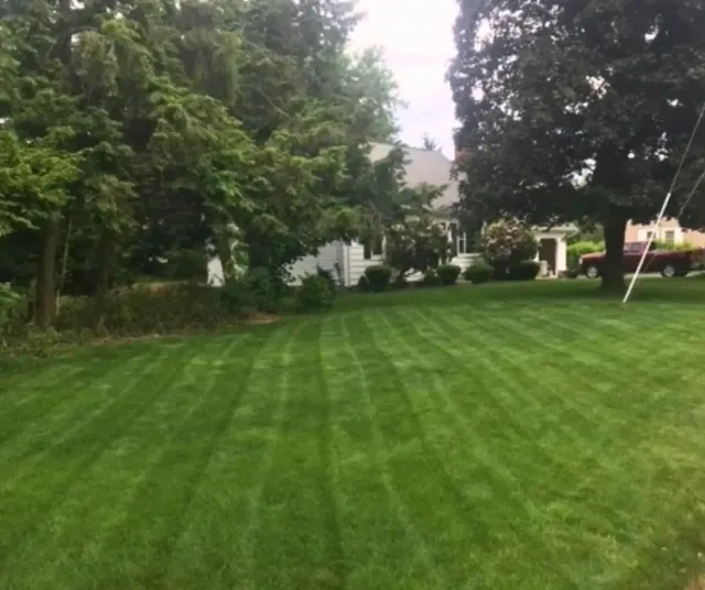 work photo from proturfsvc.com