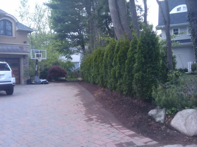 Domenic Guerra Landscaping work photo