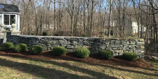 Stone wall with evergreen shrubs in front of trees and a house.