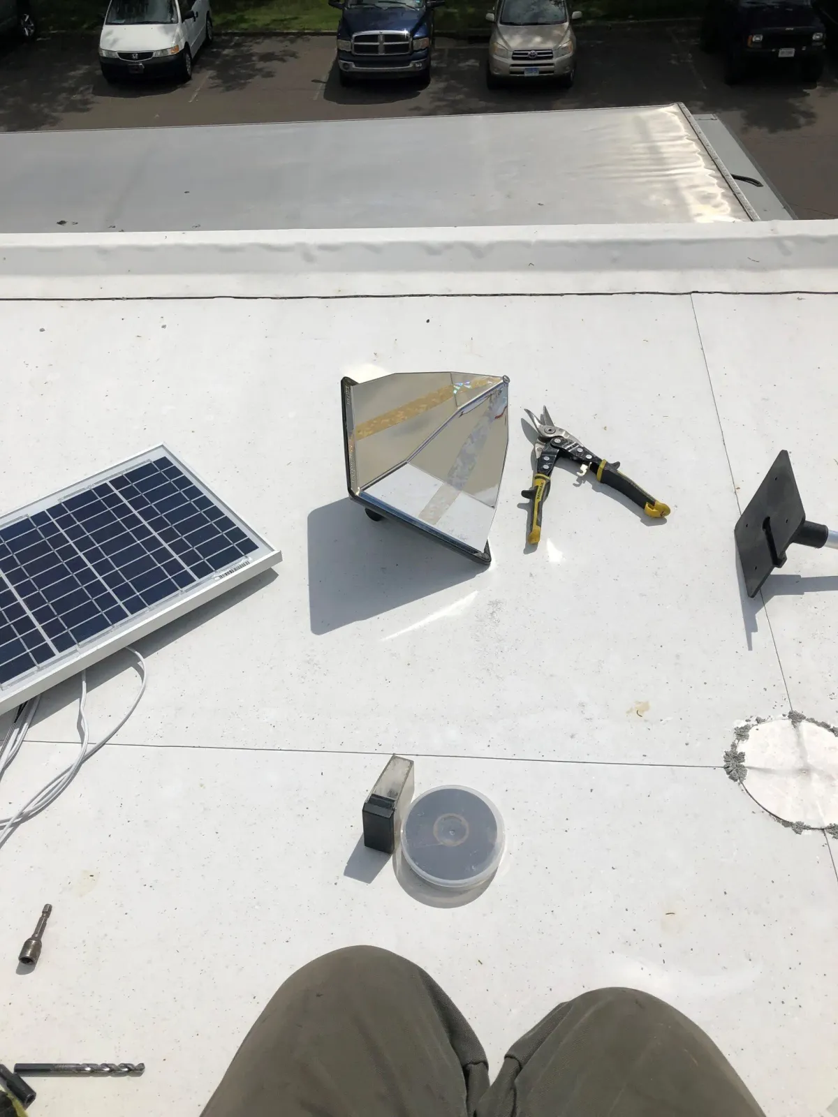 Commercial bird Job - Acorn Wildlife Solutions - Russell, MA