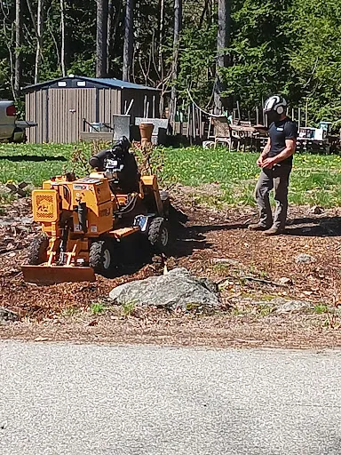 Cut & Grind Stump Grinding LLC work photo