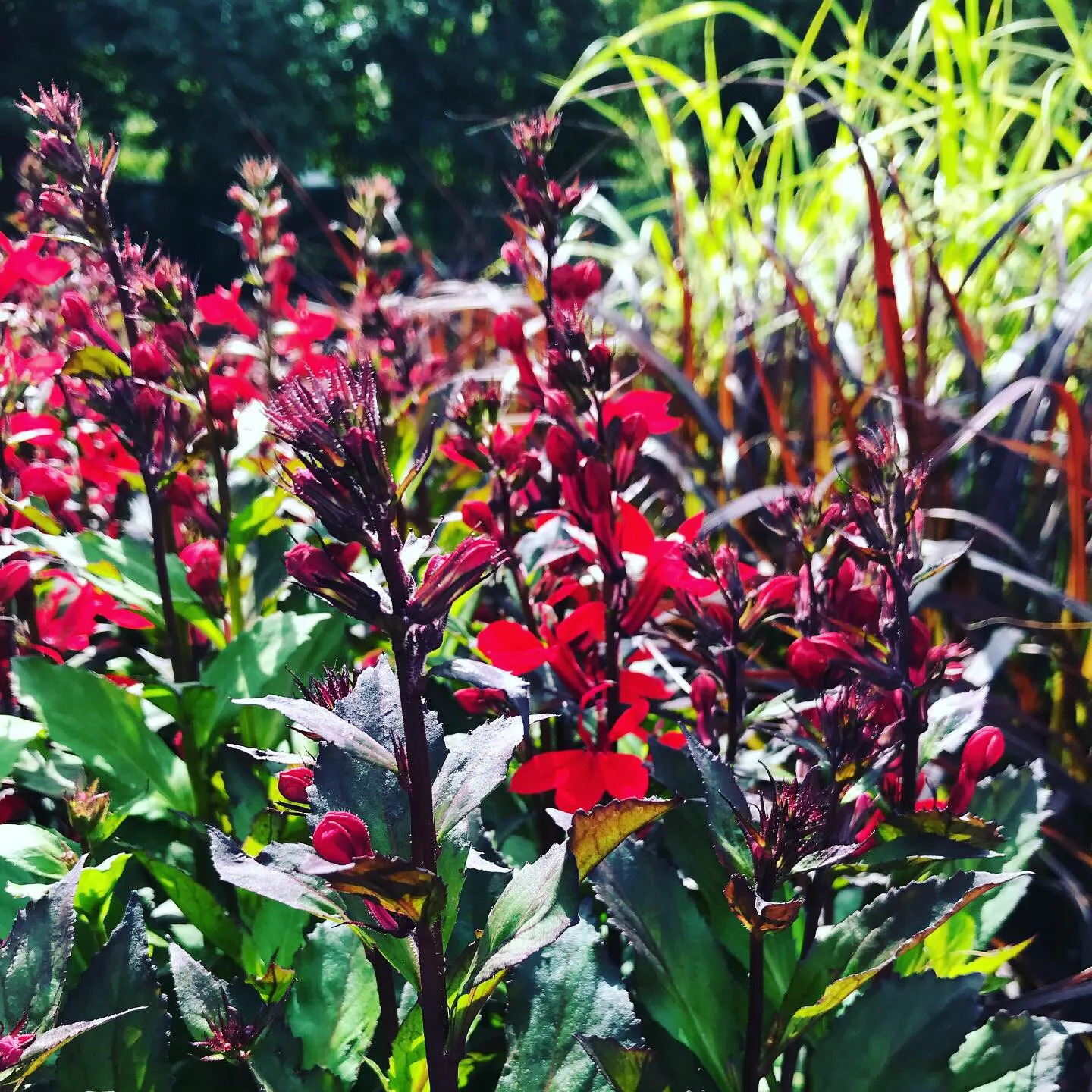 JMF Landscaping, Garden Center & Nursery
