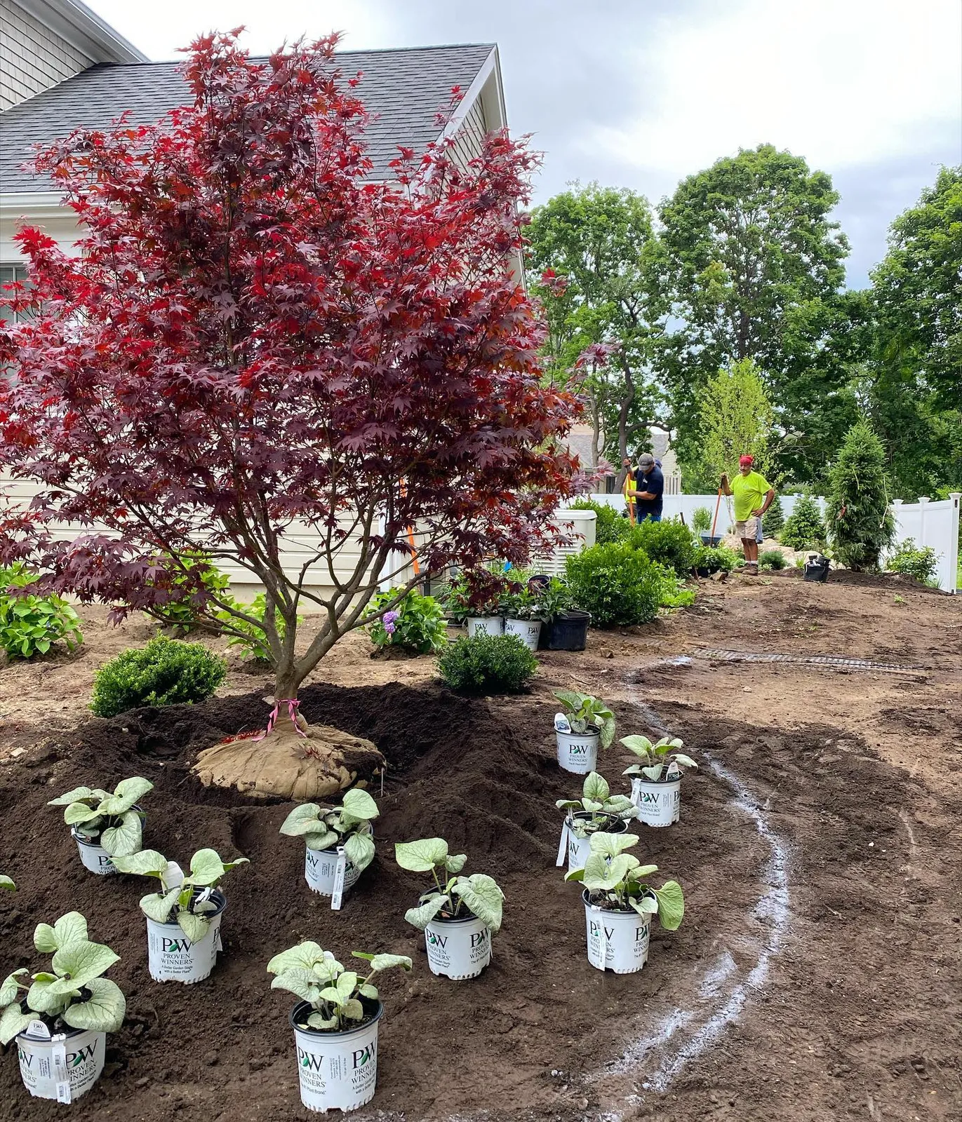 Seoane Landscape Design