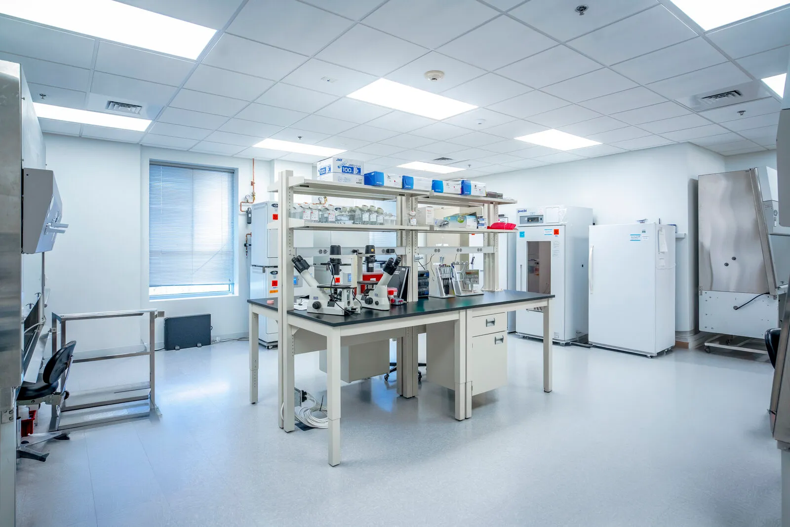 Healthcare & Life Sciences