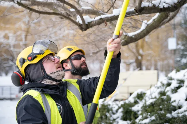 Barrett Tree Service East work photo