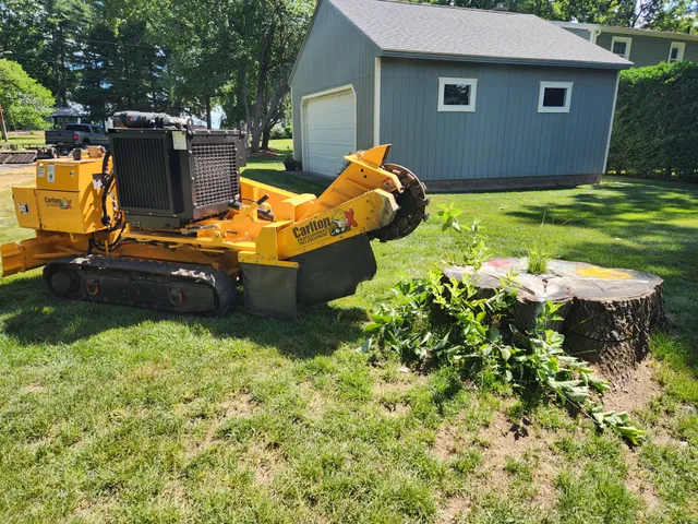 work photo from pioneerstump.com