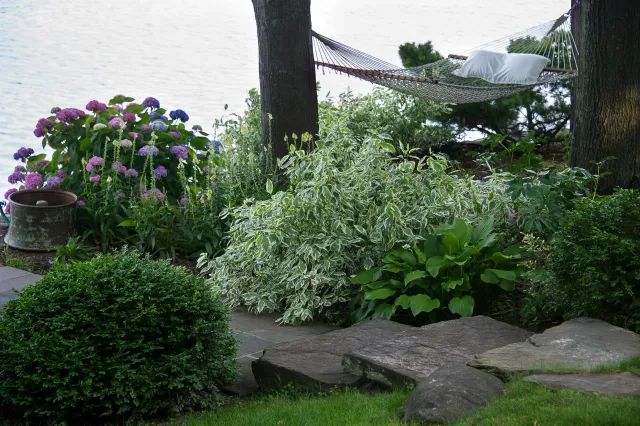 20130616-237.jpg