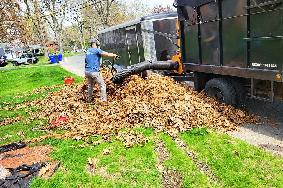 The best spring cleanup and fall clean up in Massachusetts