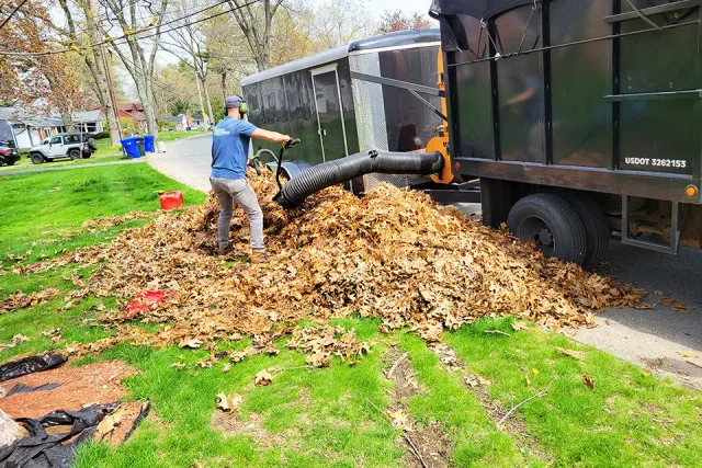 The best spring cleanup and fall clean up in Massachusetts
