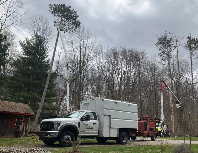 work photo from arbortechct.com