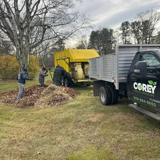 COREY TREE & LANDSCAPE LLC researched project photo