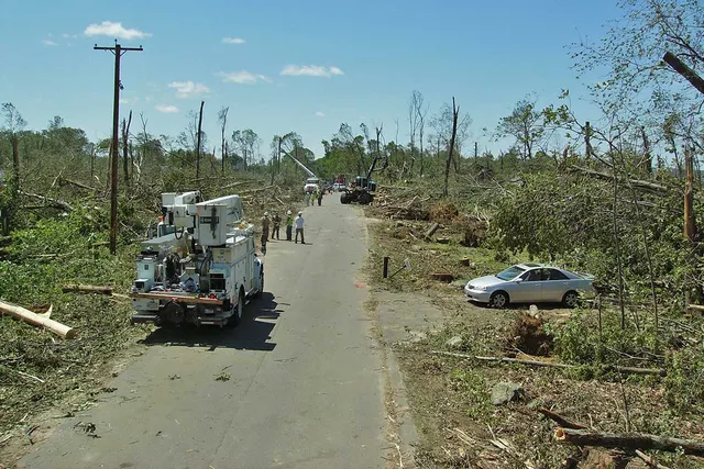work photo from clearviewtreeserv.com