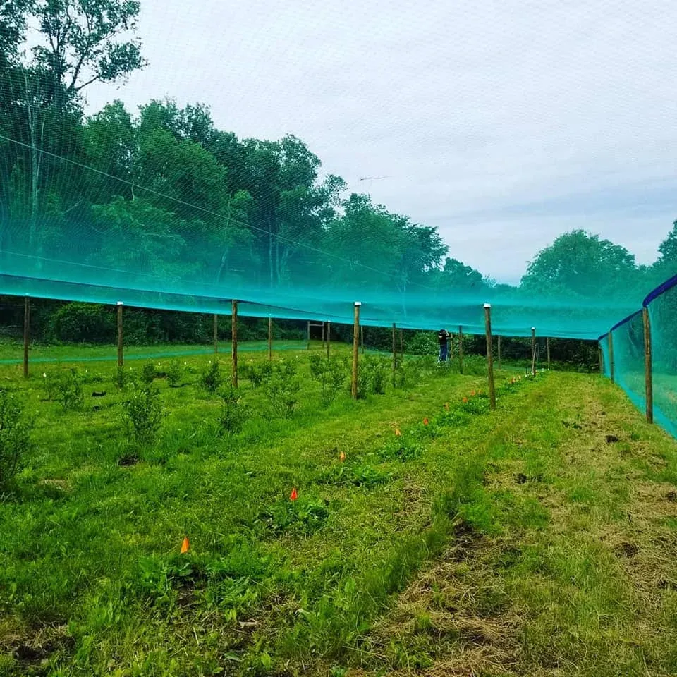 work photo from bastonisfence.com