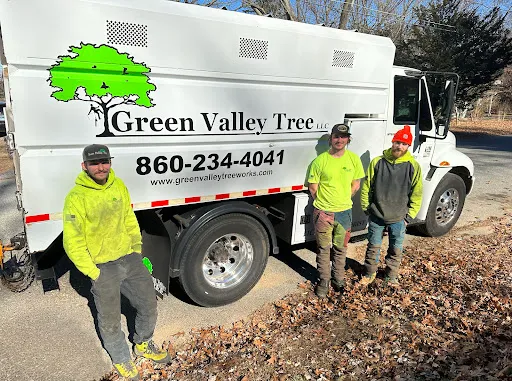 Green Valley Tree LLC work photo