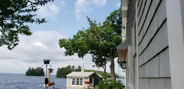 A house with a view of a lake and trees.