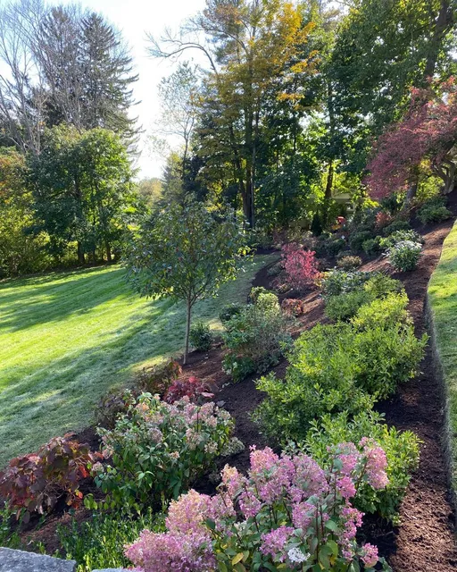 Somax Lawn Care work photo