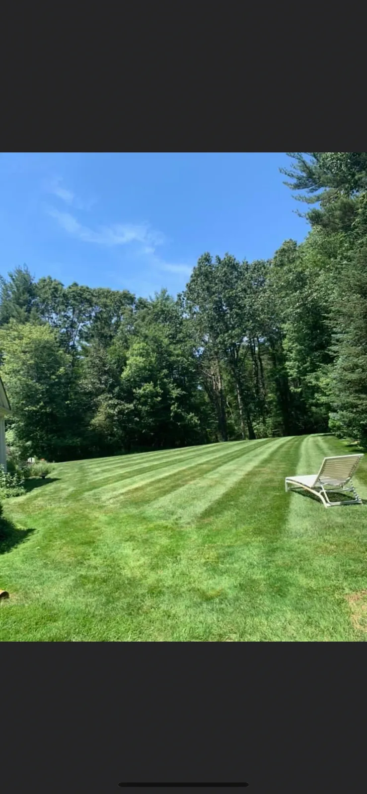 Mass Lawn Pros