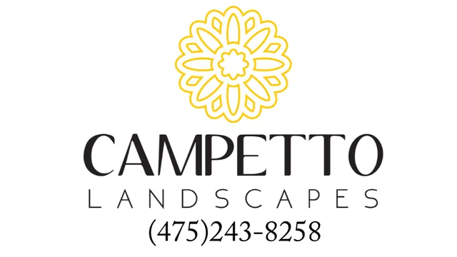 Campetto Landscapes work photo