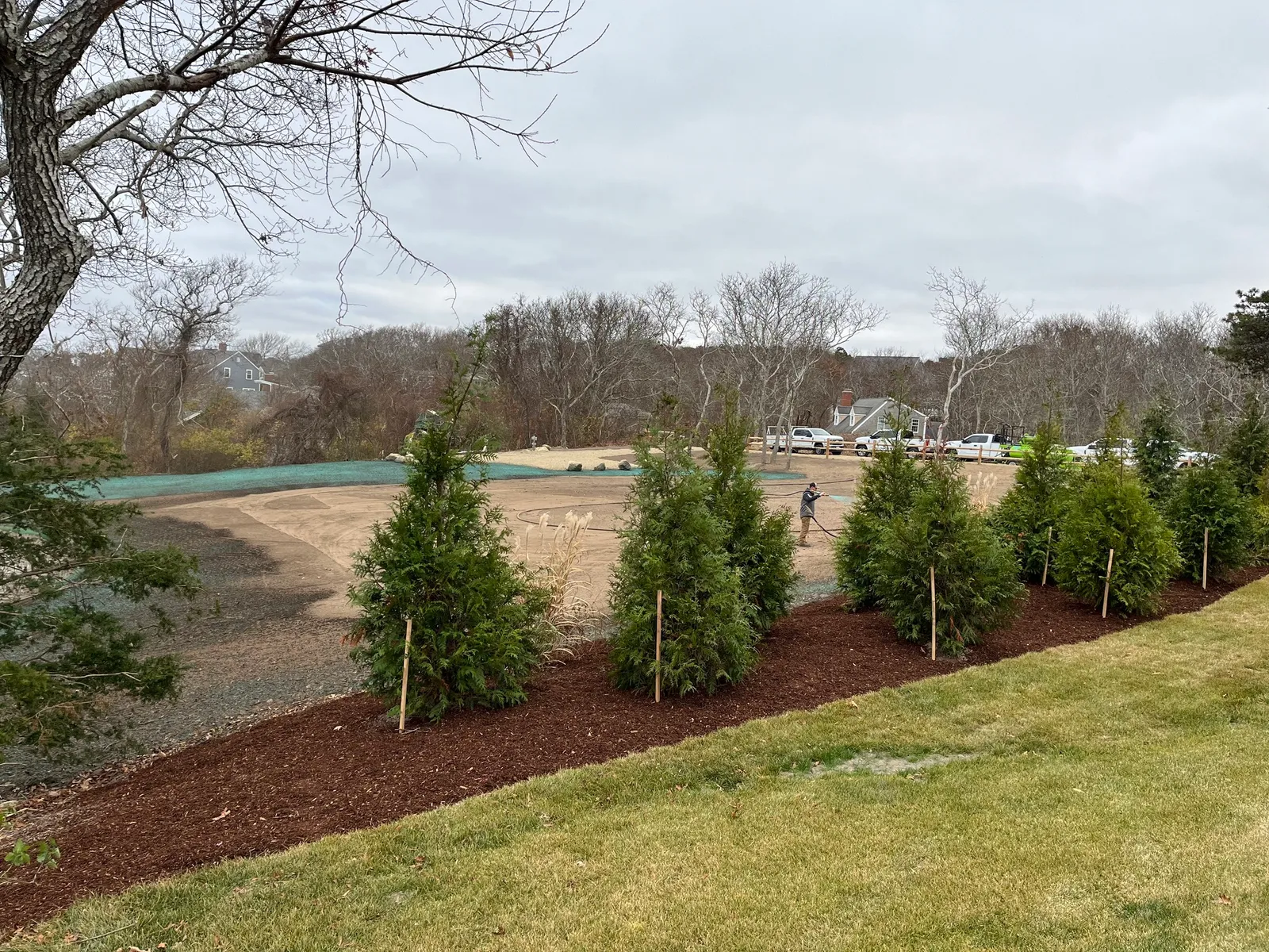 Hydroseeding large graded lot with new tree landscaping