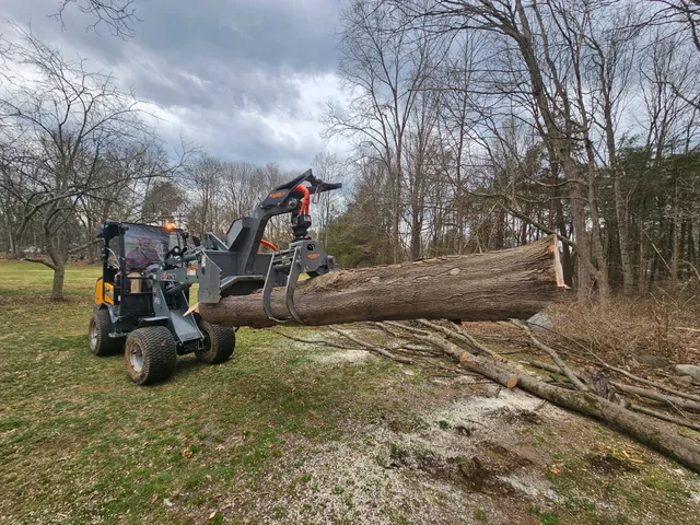 Woodland TreeWorks LLC work photo