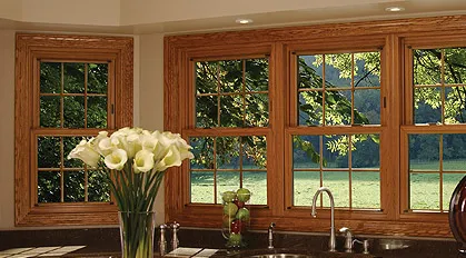 Double-Hung Window Photos