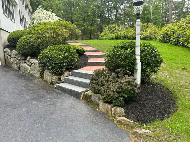 Somar Landscape work photo