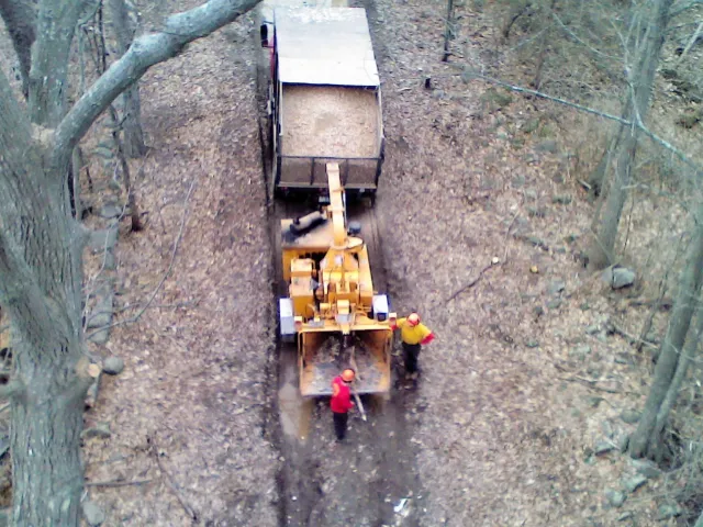 Atomic Tree Service work photo