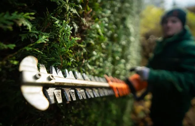 work photo from morselandscaping.com