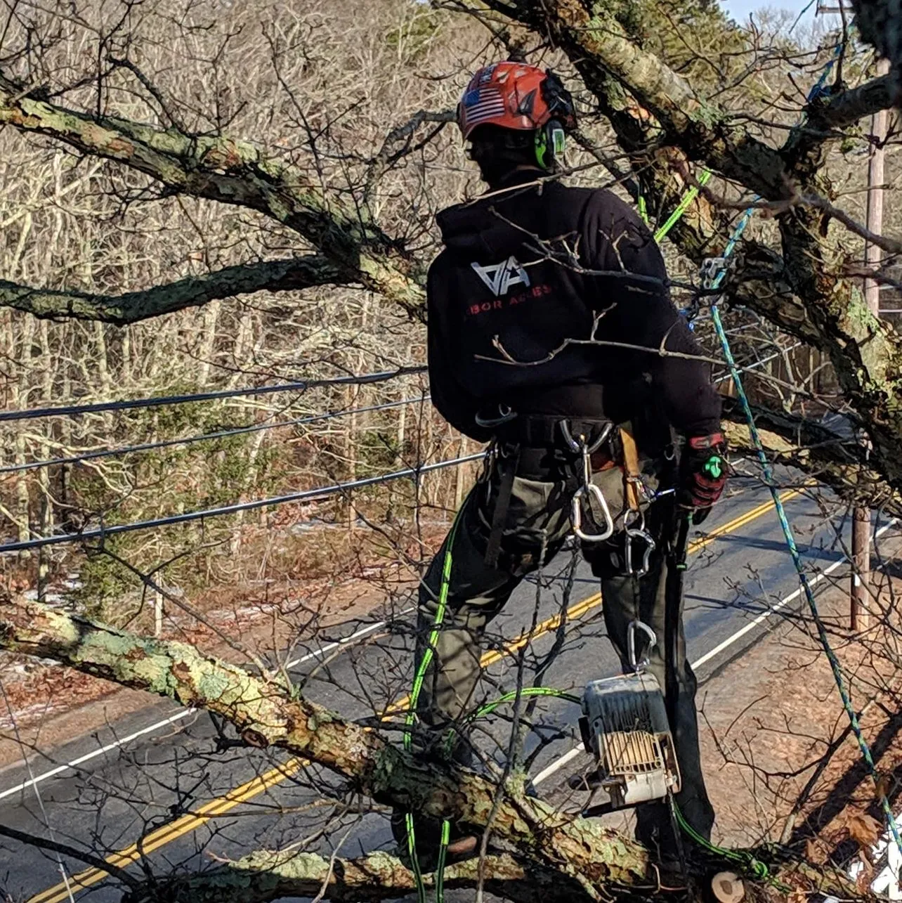 work photo from Google listing