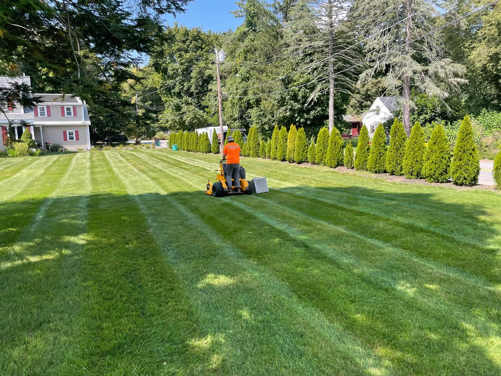 work photo from Google listing