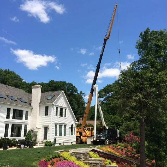 Wallace Tree Service work photo