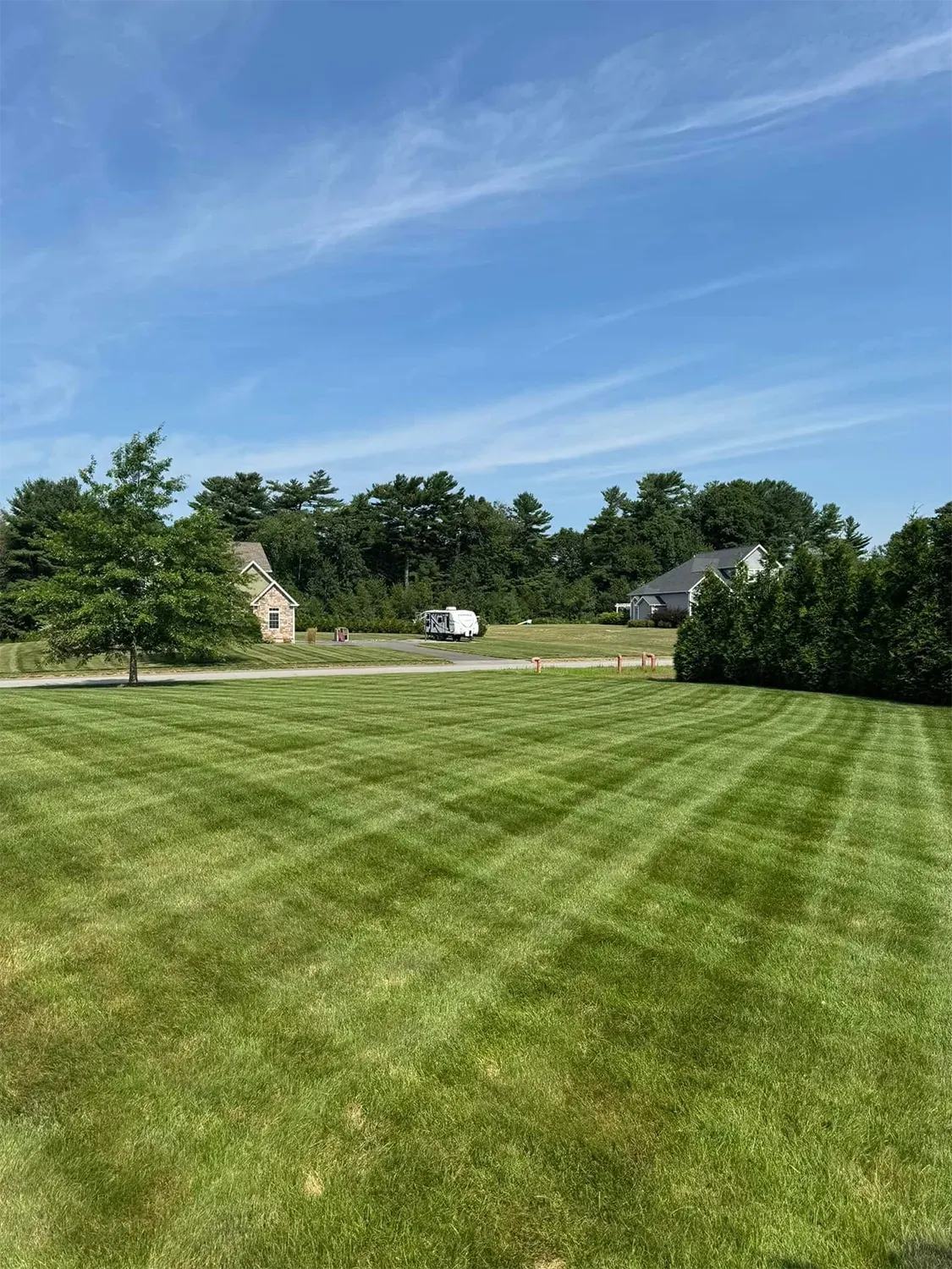 Lawn mowed with stripes, house, trees, and blue sky.